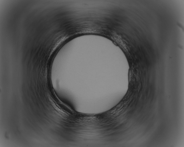 X0000097480108200803201518