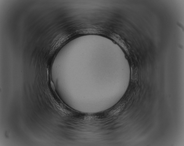 X0000097480109200803201518