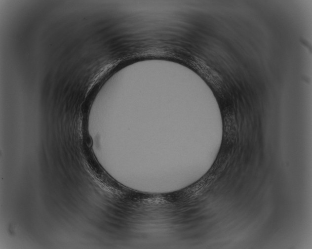 X0000097480112200803201518