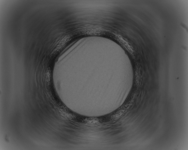 X0000097480113200803201518