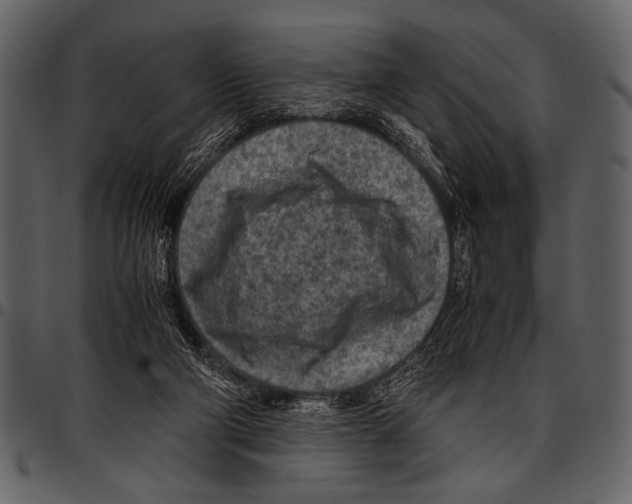 X0000097480114200803201518