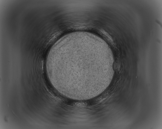 X0000097480115200803201517