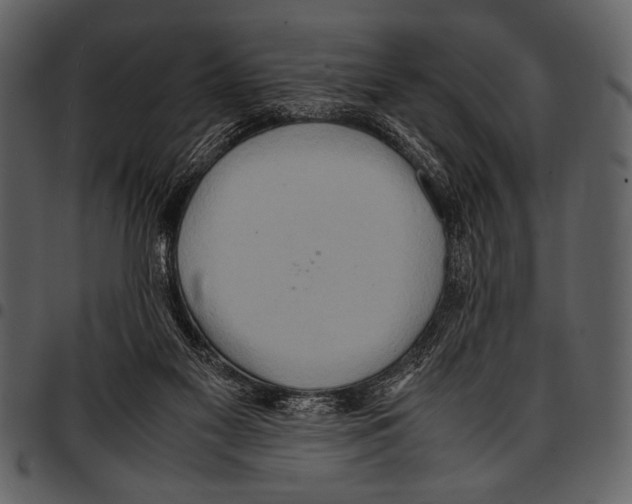 X0000097480117200803201517