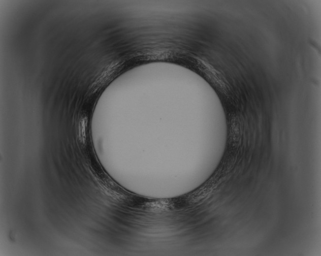 X0000097480118200803201517