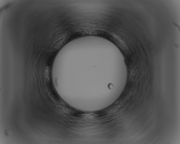 X0000097480121200803201517