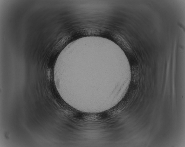 X0000097480123200803201517