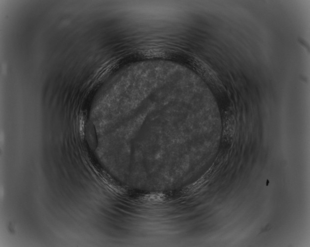 X0000097480124200803201517