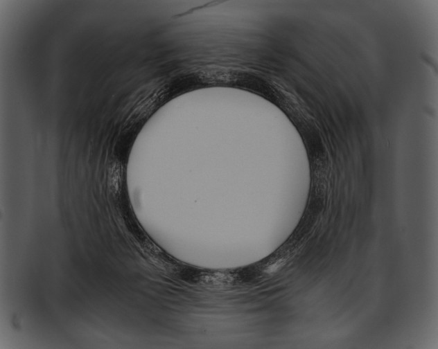 X0000097480125200803201517