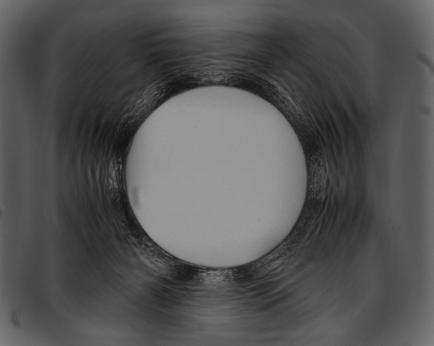 X0000097480126200803201517