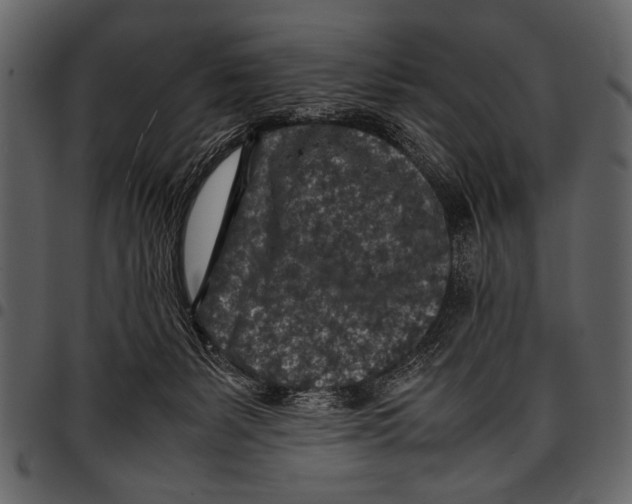 X0000097480127200803201517