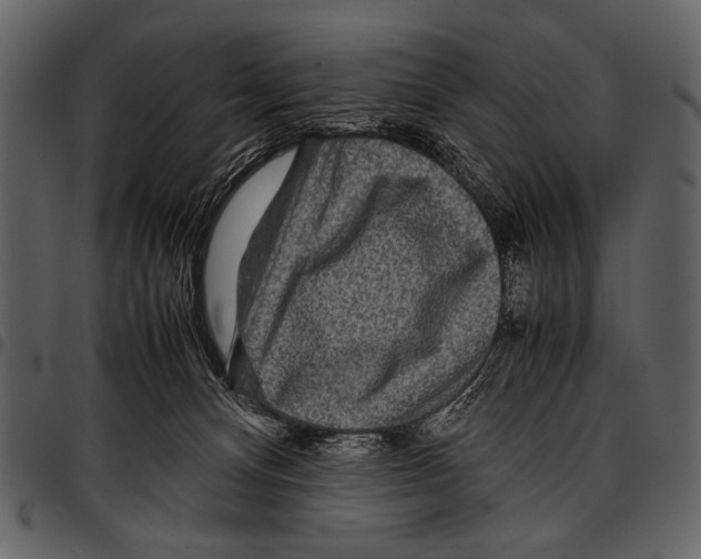 X0000097480128200803201517