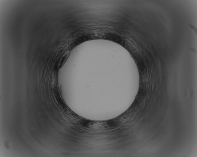 X0000097480129200803201517