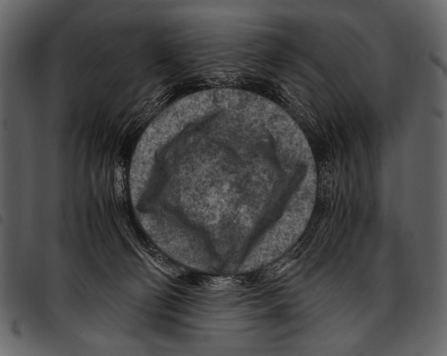 X0000097480130200803201517