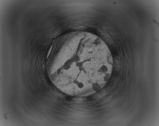 X0000097480131200803201517