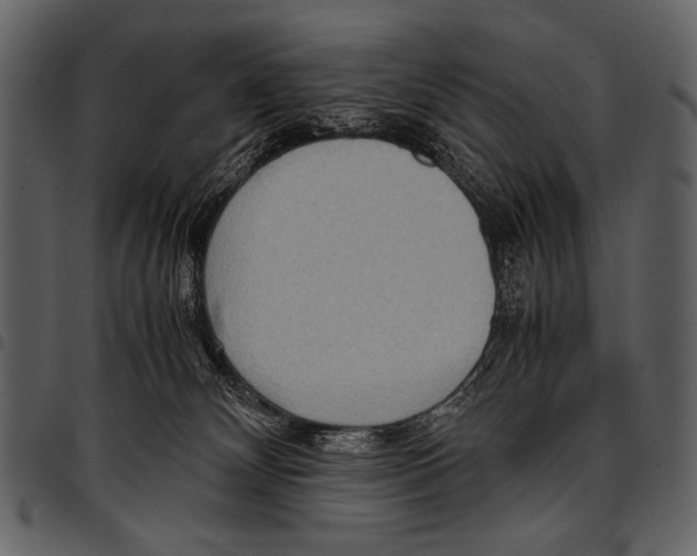 X0000097480132200803201517