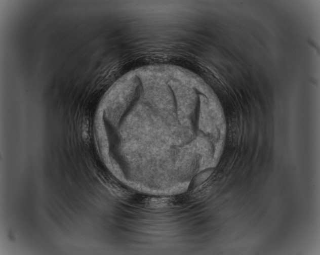 X0000097480134200803201517