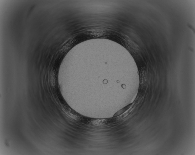 X0000097480136200803201517