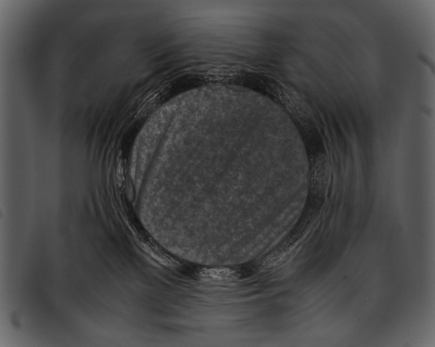 X0000097480137200803201517