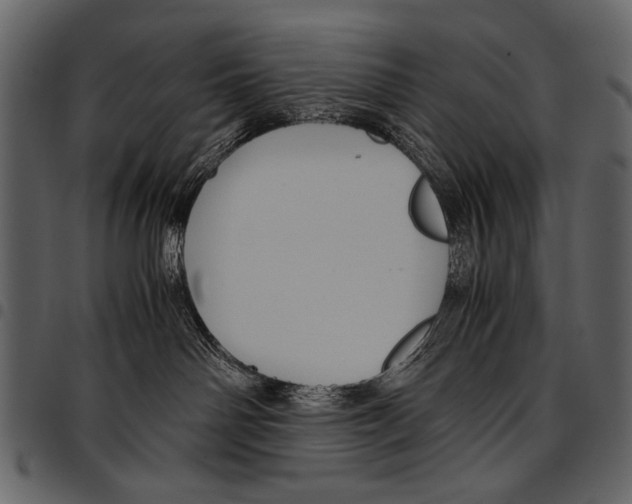 X0000097480142200803201517