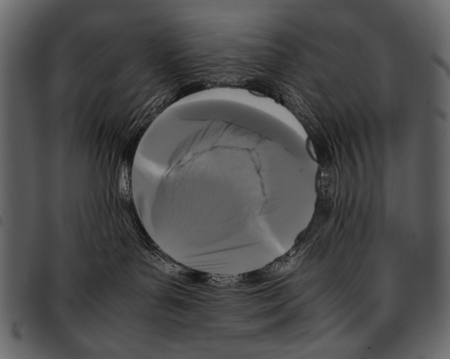 X0000097480143200803201517