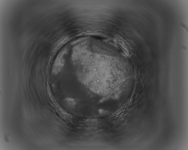 X0000097480145200803201516