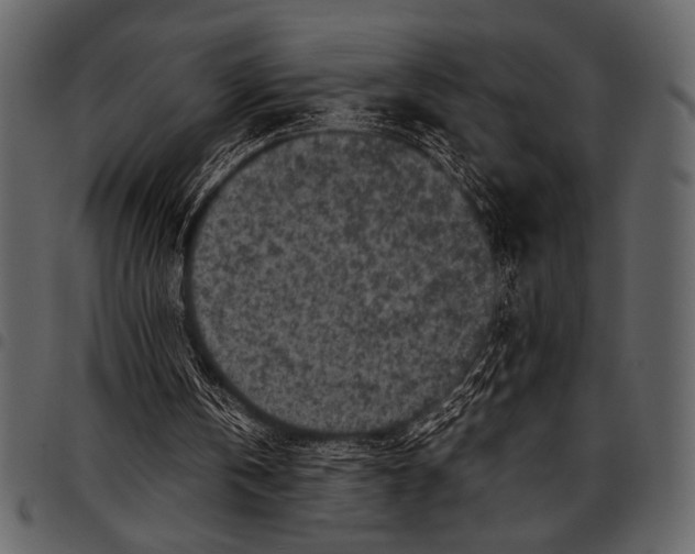 X0000097480146200803201516