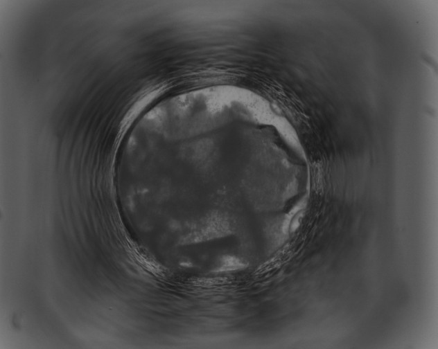 X0000097480147200803201516