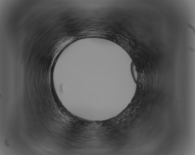 X0000097480148200803201516