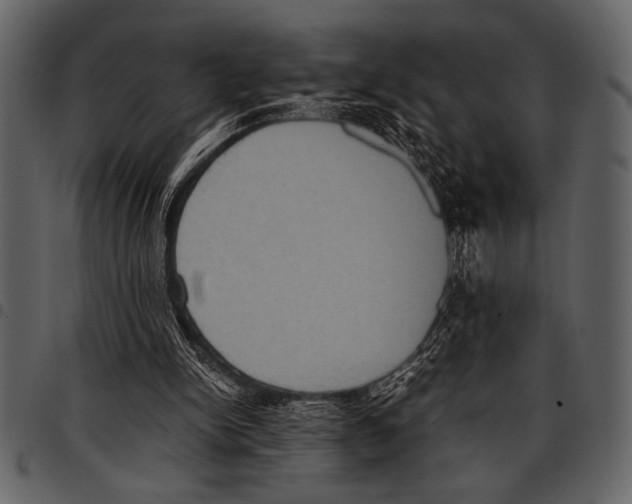 X0000097480150200803201517