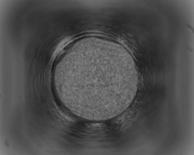 X0000097480151200803201517