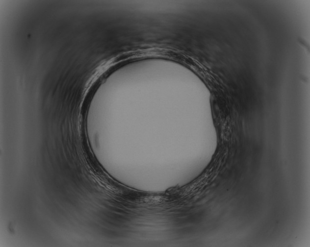 X0000097480152200803201517