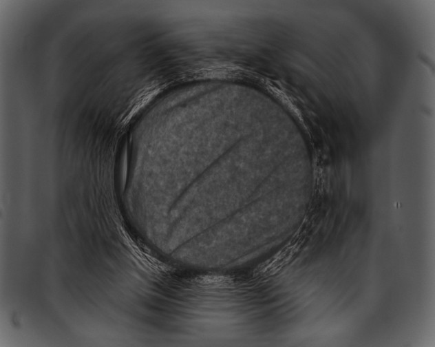 X0000097480154200803201517