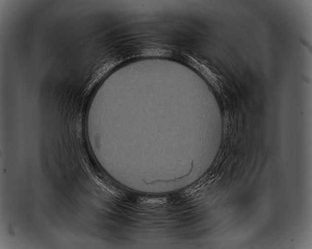 X0000097480155200803201517