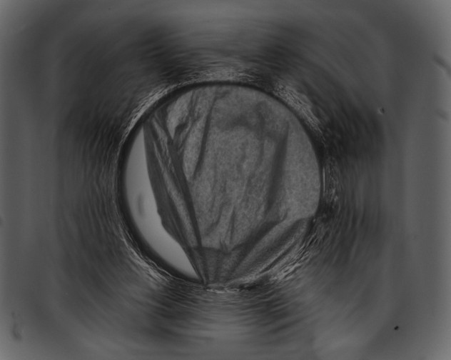 X0000097480156200803201517