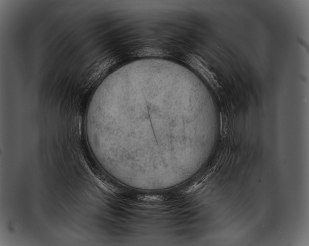 X0000097480157200803201517