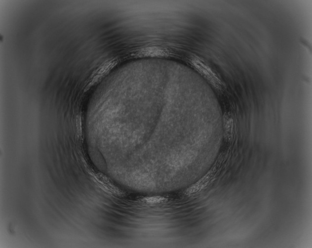 X0000097480158200803201517