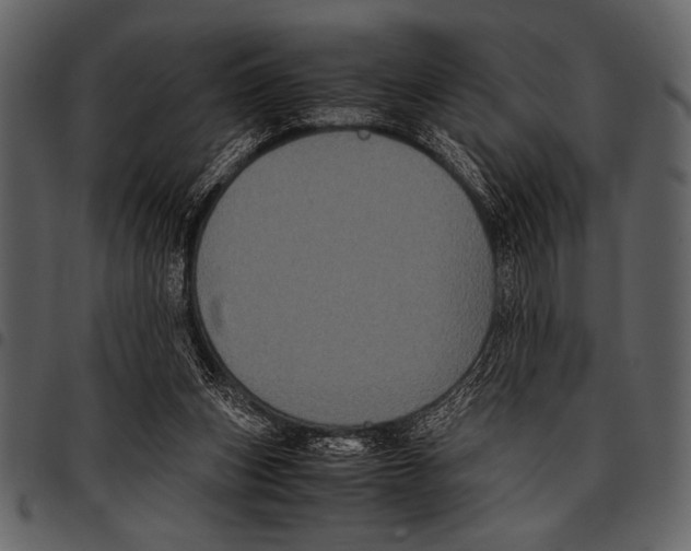 X0000097480159200803201517