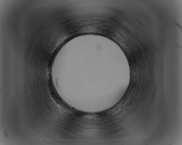 X0000097480160200803201517