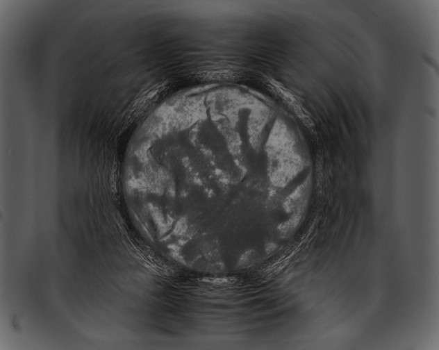 X0000097480161200803201517