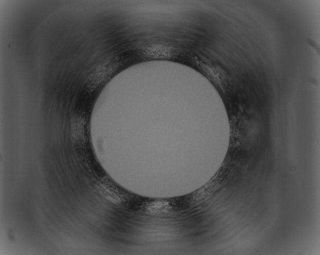 X0000097480162200803201517