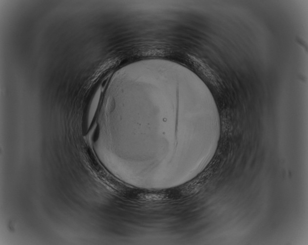 X0000097480163200803201517