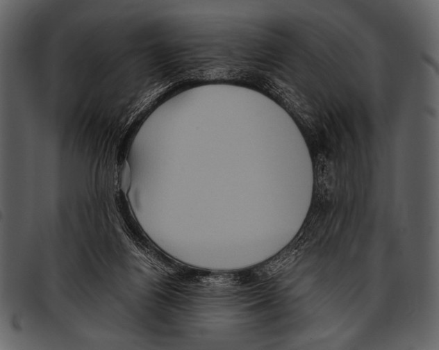 X0000097480164200803201517