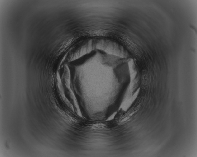 X0000097480168200803201517