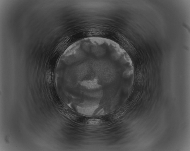 X0000097480169200803201517