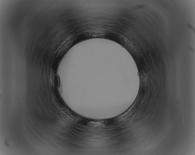 X0000097480170200803201517