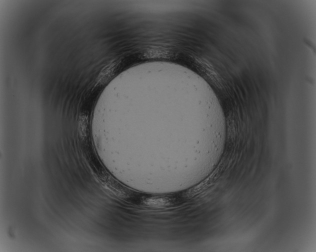 X0000097480171200803201517