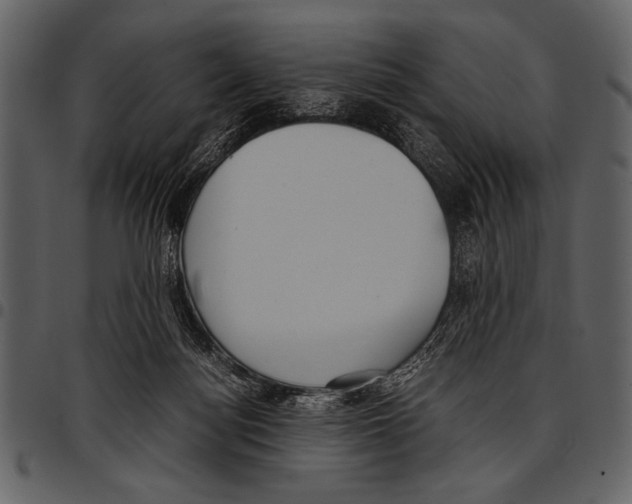 X0000097480172200803201517