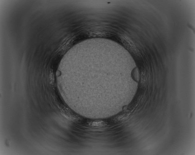 X0000097480173200803201517