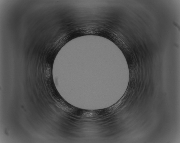 X0000097480174200803201517