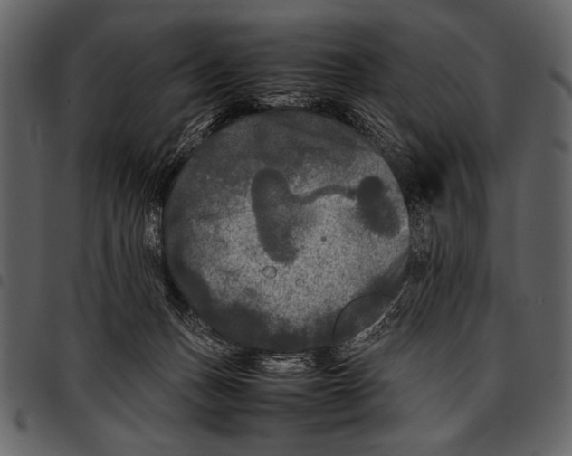 X0000097480175200803201517